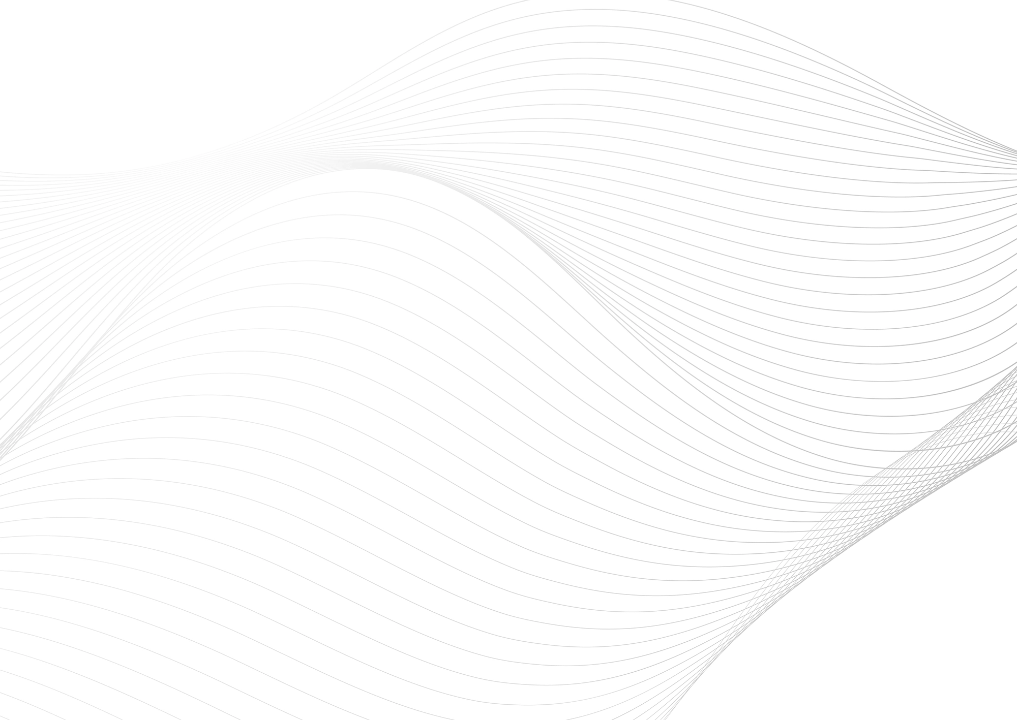 Web Site Tasarımcısı, Torbalı